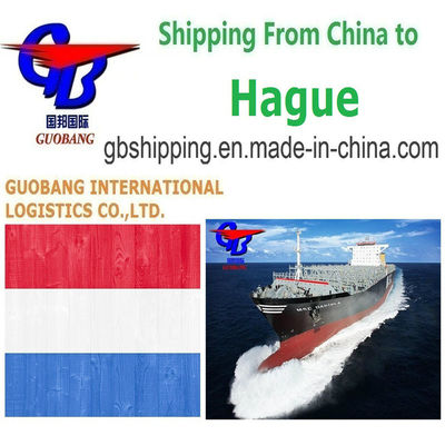 Τελωνειακό αποχωρισμό απλοποιημένο Τελωνειακό μεσίτης Τελωνειακό αποχωρισμό από την Χάγη στις Κάτω Χώρες