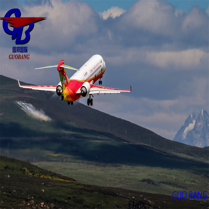 Υπηρεσία εκτελωνισμού θαλάσσιων και εναέριων εμπορευμάτων από προς Ιαπωνία RF Αξιόπιστη και οικονομική αποστολή